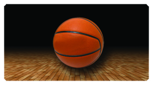 DSC700 348 BK Basketball